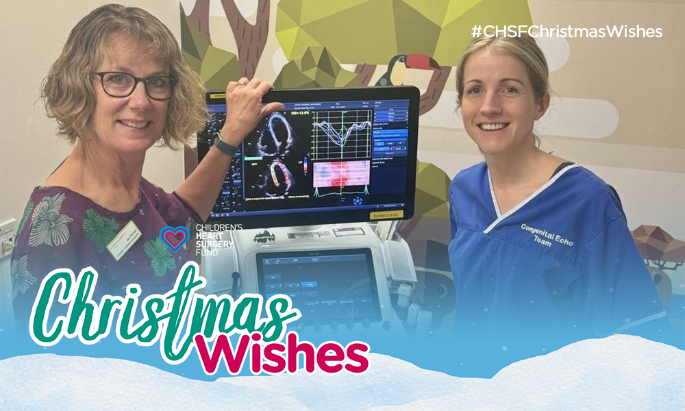 Christmas Wishes: Life saving Sonography training