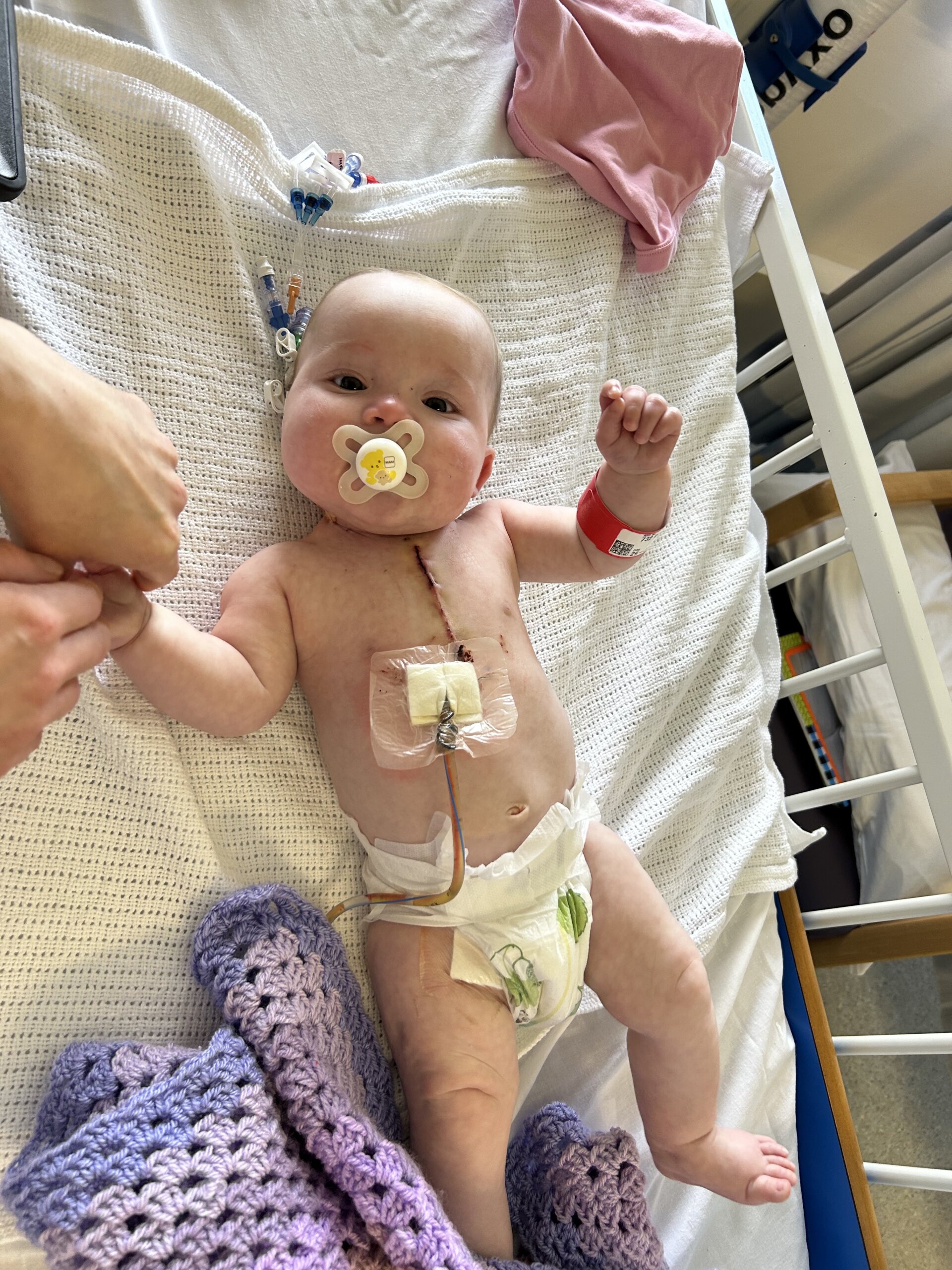 The Jackson Family at sunrise on top of Snowdon, holding a green CHSF banner
