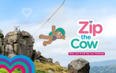 Zip the Cow: Zip Line challenge