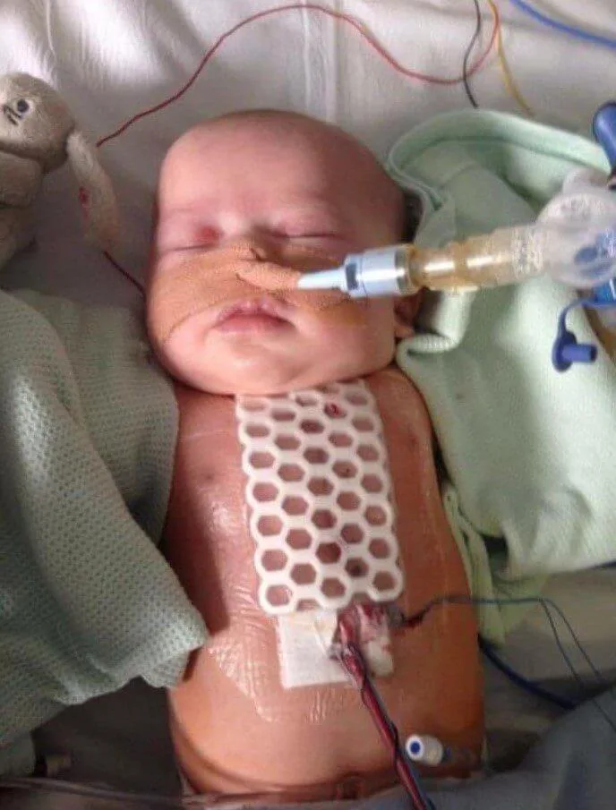 Warrior Wednesday: Isabel