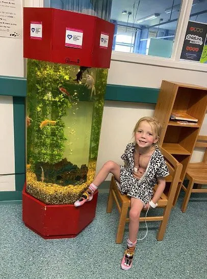 Priority Space fund vital children’s cardiac ward fish tank